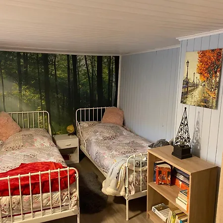 Harz Idylle 3 Holiday home