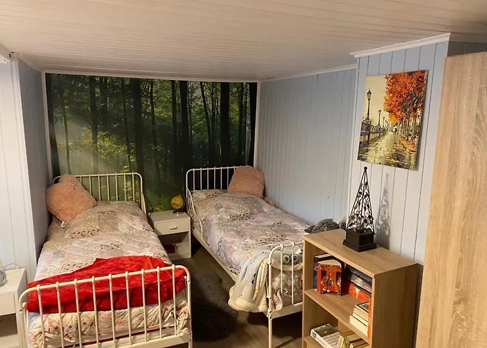 Harz Idylle 3 Holiday home